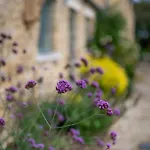1 Bed In North Stainley Oc-ds1075 Holiday home West Tanfield