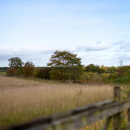 Casa vacanze 1 Bed In North Stainley Oc-Ds1075