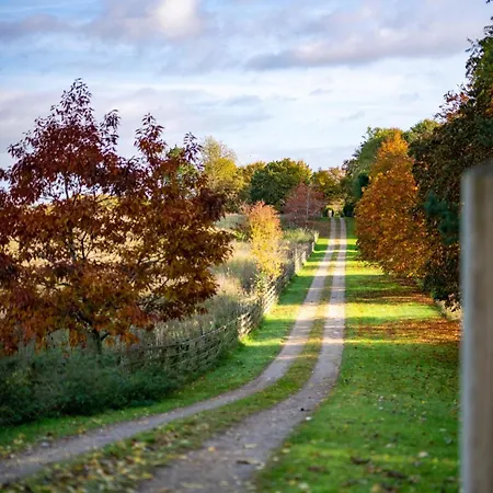Terrace Barn Holiday home
